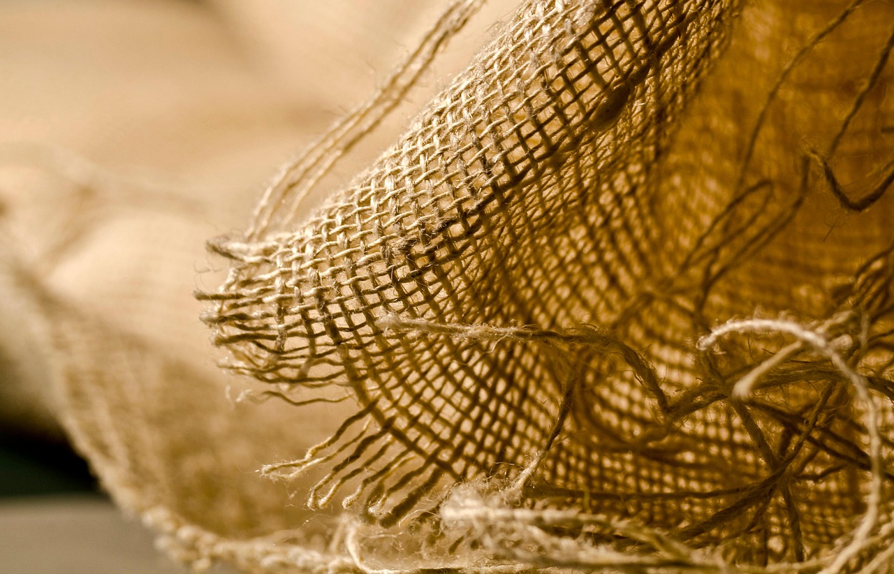 Sugalvotas pavadinimas:

Kaip sukurti edukacinę užduočių dėžutę vaikams iš perdirbamų medžiagų: 15 kūrybinių idėjų ekologiškai šeimai